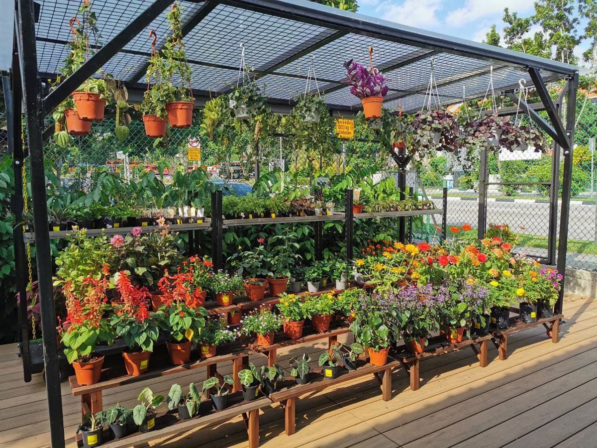 13 Best Plant Nurseries In Singapore To Help Brighten Your Day | EPOS ...