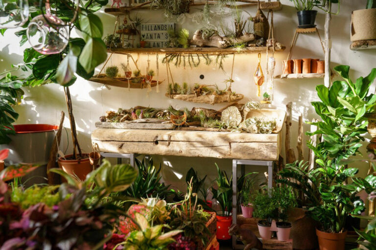 13 Best Plant Nurseries In Singapore To Help Brighten Your Day EPOS