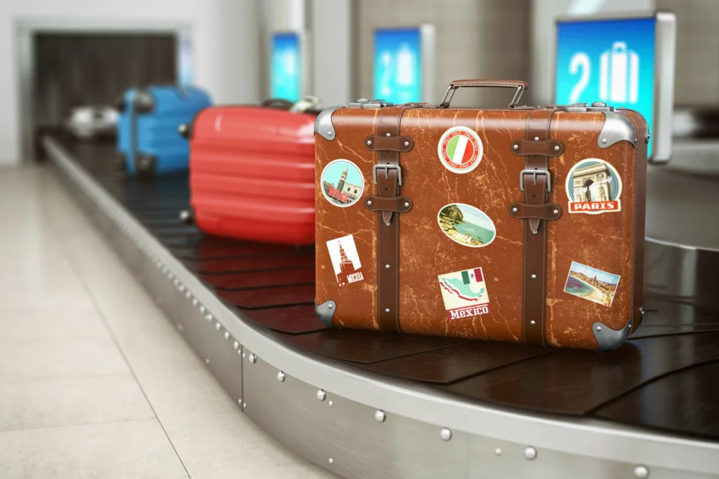 singapore travel luggage