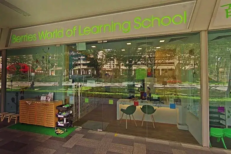 Berries World of Learning School - Tuition Centre Singapore