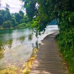 Best Hiking Trails in Singapore Cover Image - Hiking Trails Singapore
