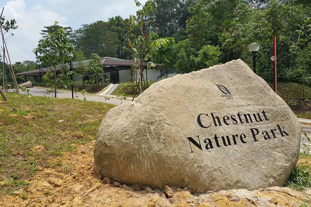 Chestnut Nature Park - Hiking Trails Singapore