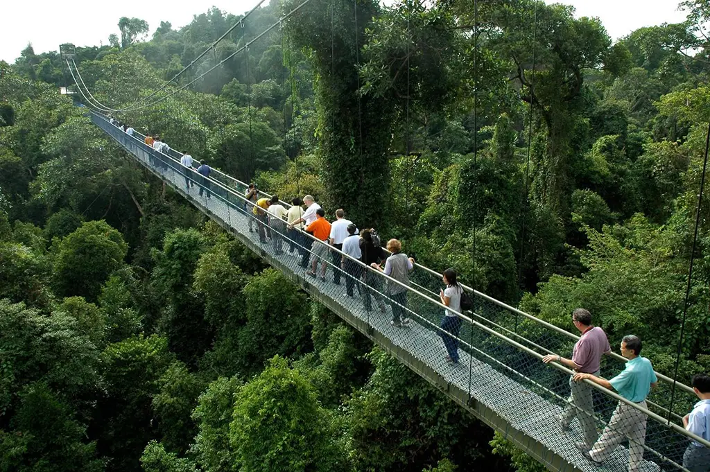 MacRitchie Reservoir Park - Hiking Trails Singapore